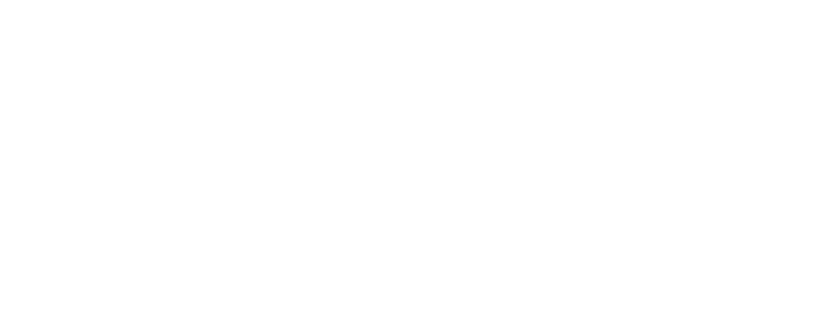 Bic logo
